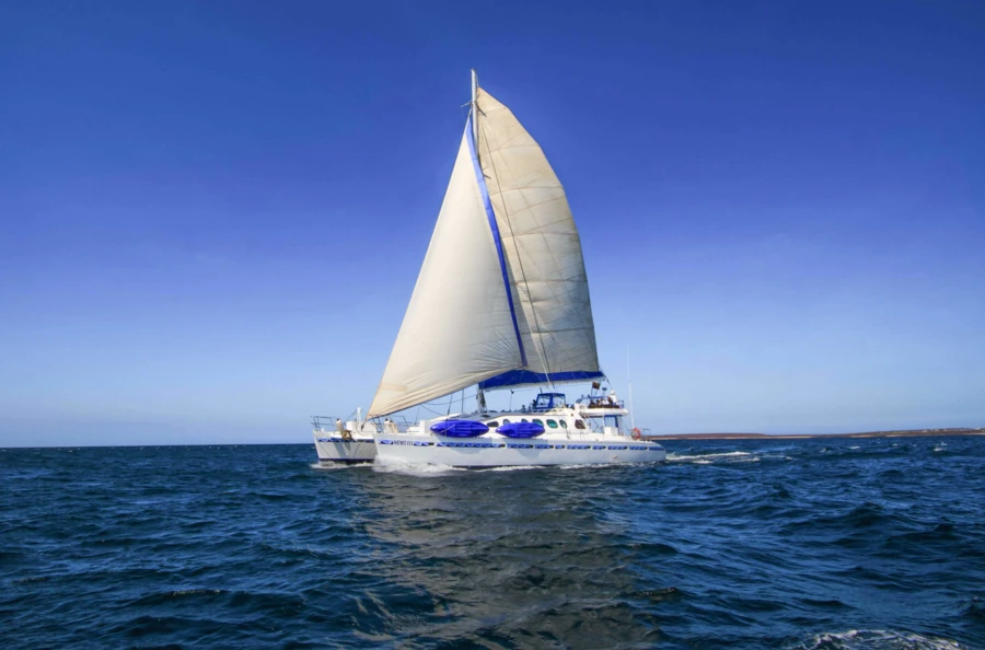 Avventura in catamarano di 8 giorni nel cuore della natura straordinaria delle Galapagos e delle sue isole più belle