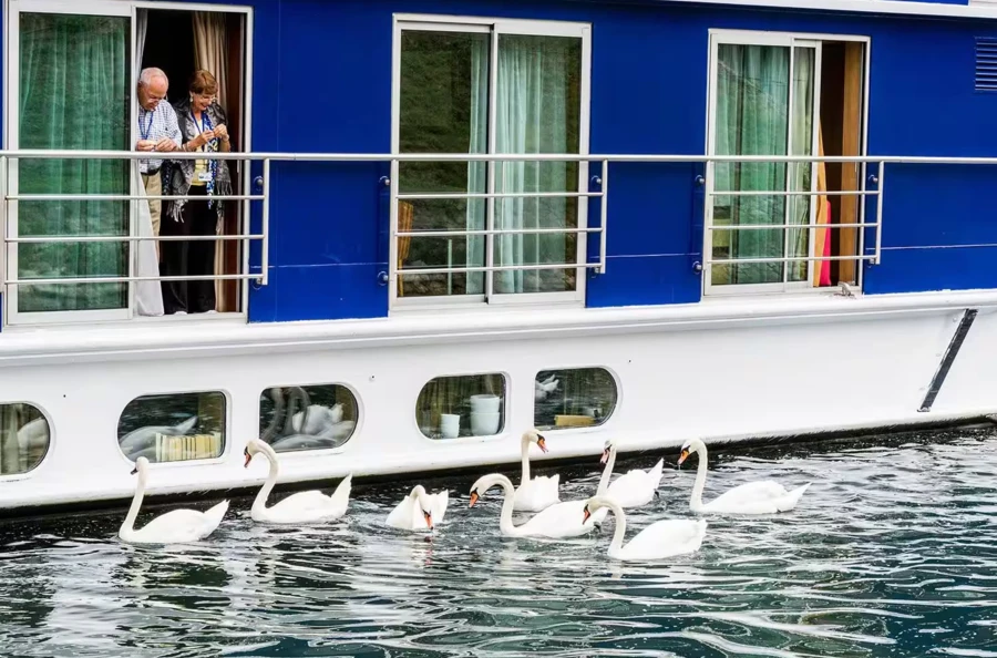 Sabores y vinos de la región de Burdeos: un delicioso crucero enológico de 7 noches