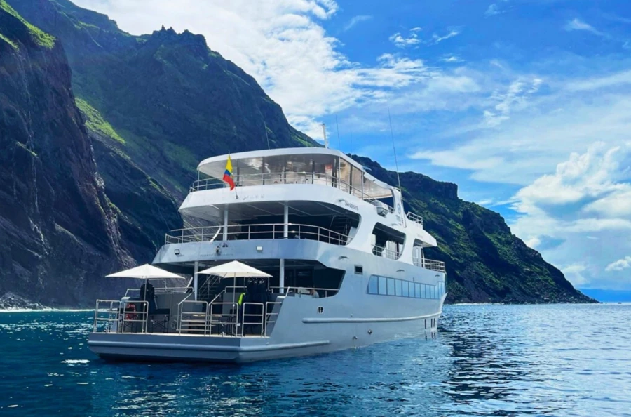Aventure insulaire de 5 jours aux Galápagos à bord d’un yacht somptueux, une formidable expédition naturaliste à la rencontre d’une faune unique