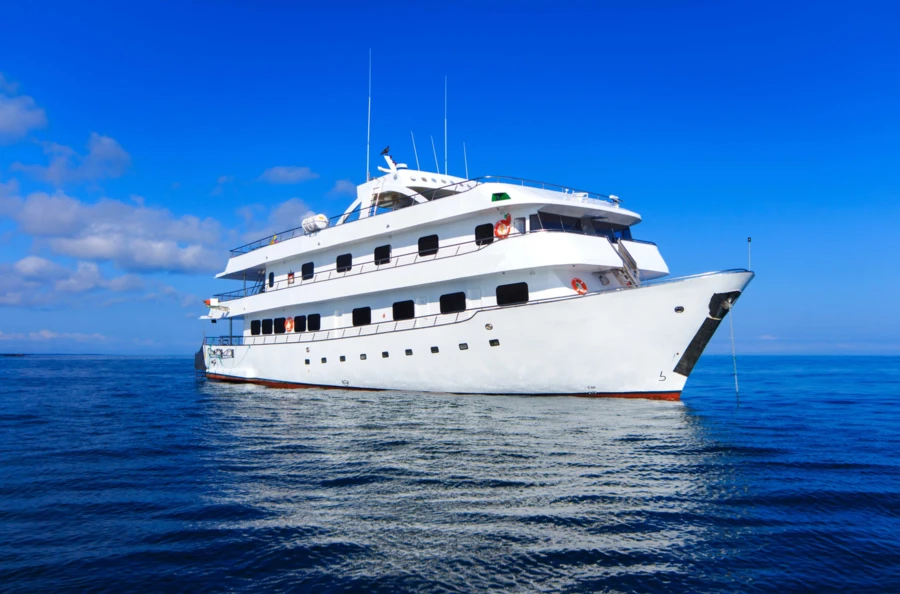 Safari marin de 7 jours aux Galápagos : entre îles volcaniques, faune endémique et confort d’un yacht élégant