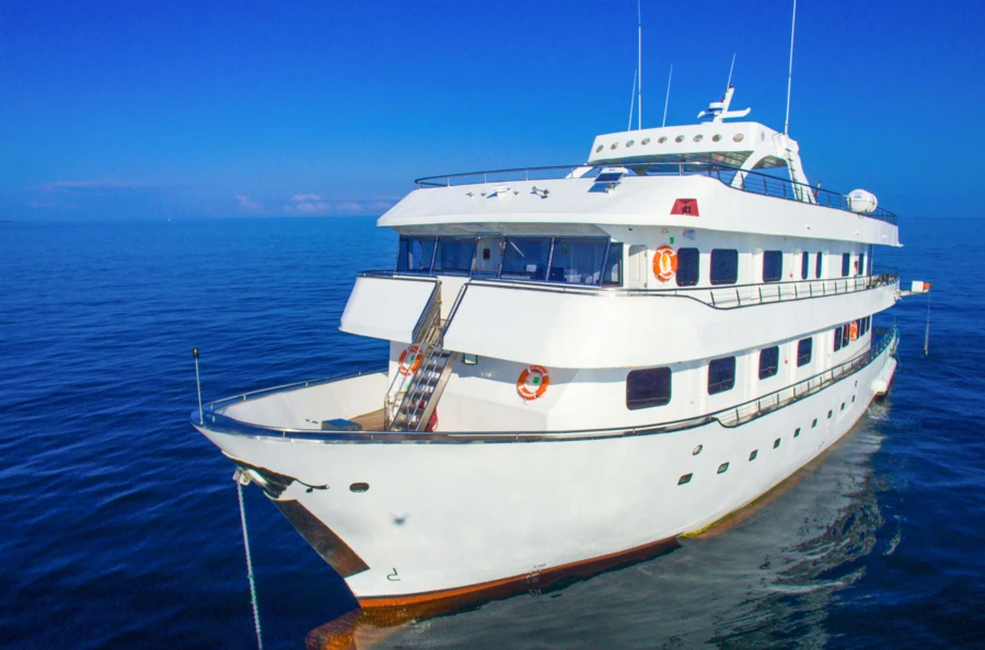 Safari marin de 7 jours aux Galápagos : entre îles volcaniques, faune endémique et confort d’un yacht élégant