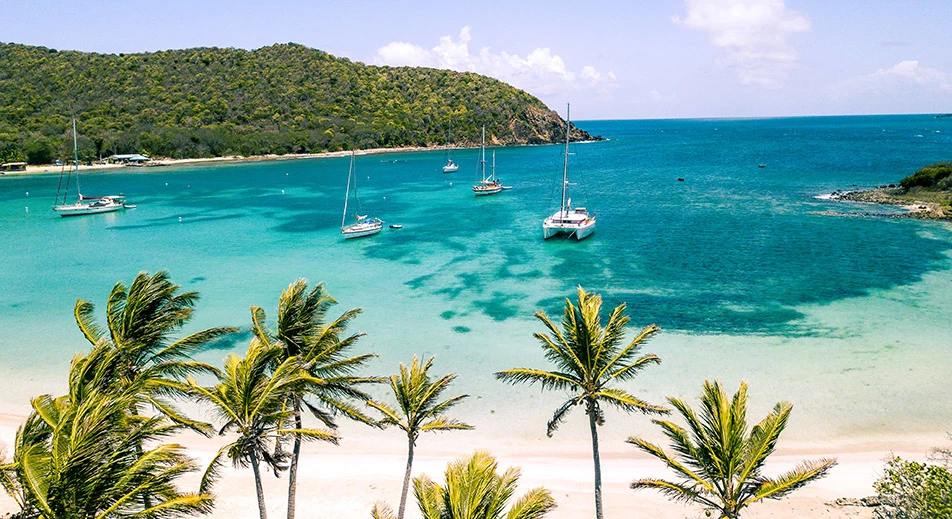 Barbecue sur une plage des Tobago Cays