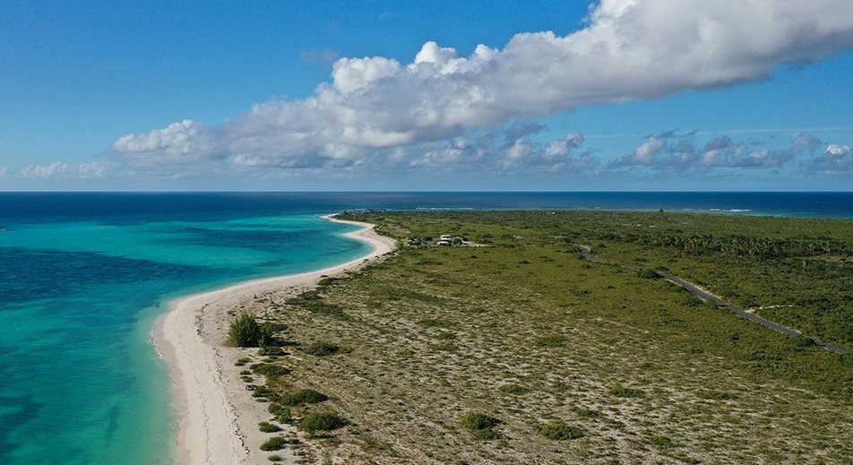 3 excursions sur Anegada