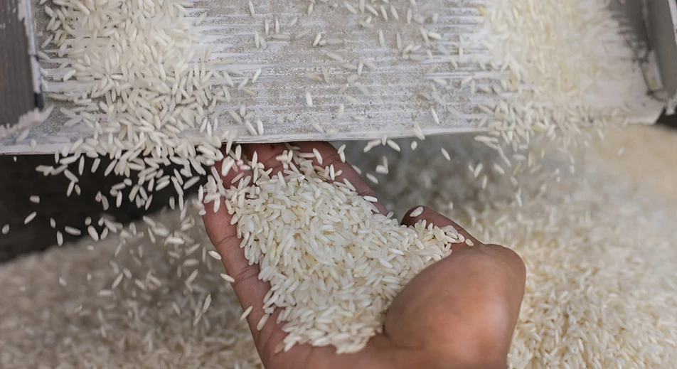 Visita a una fábrica de ladrillos, un vivero de árboles frutales y una fábrica tradicional de arroz