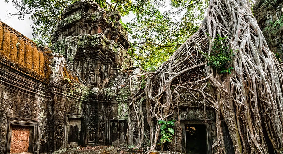 Visita al templo de Ta Prohm