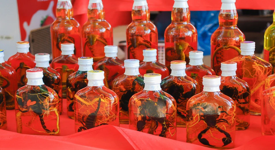 Visite du village du whisky