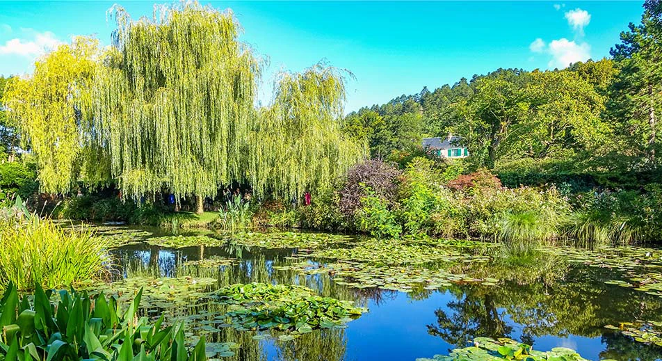 Visite de la fondation Claude Monet