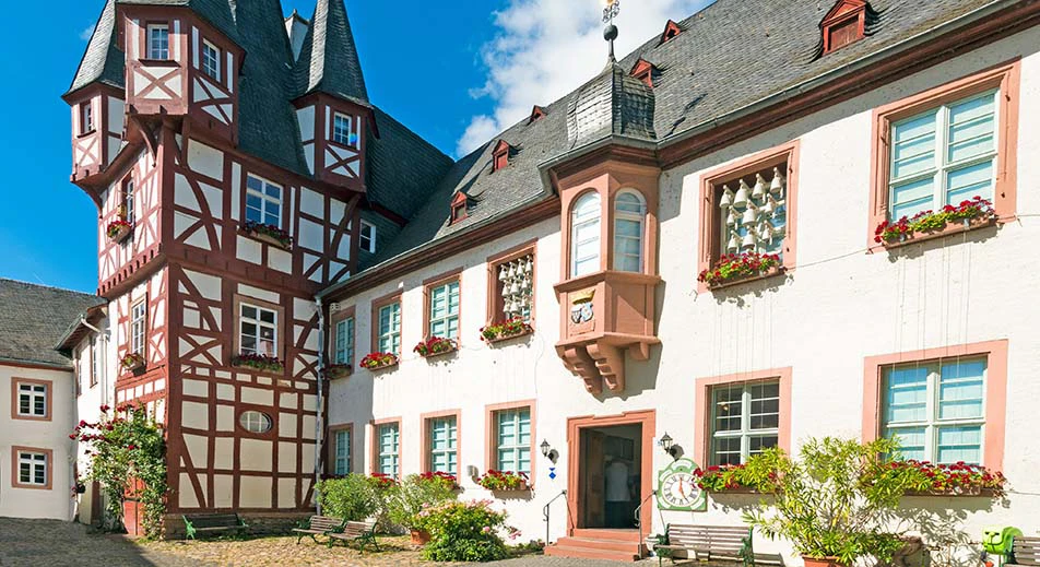 Tour en petit train, dégustation de vins et visite du musée de la musique mécanique à Rüdesheim