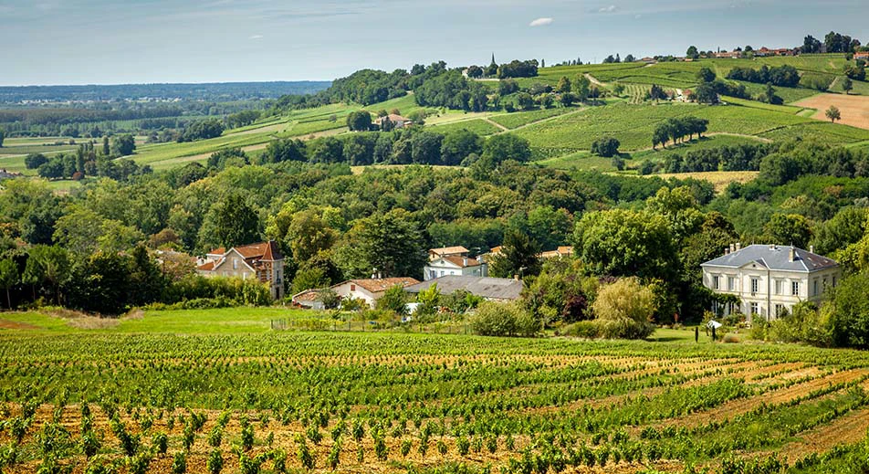 Survol du Médoc en hélicoptère et dégustation de vin