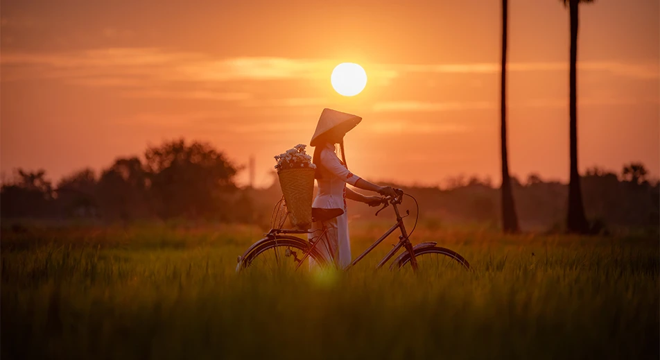 Promenade à vélo dans la campagne vietnamienne