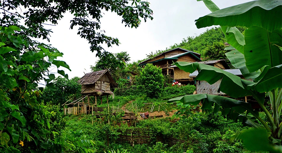 Courte randonnée à travers la forêt en direction d'un village local