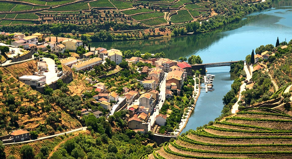 Wanderung durch die portugiesischen Weinberge