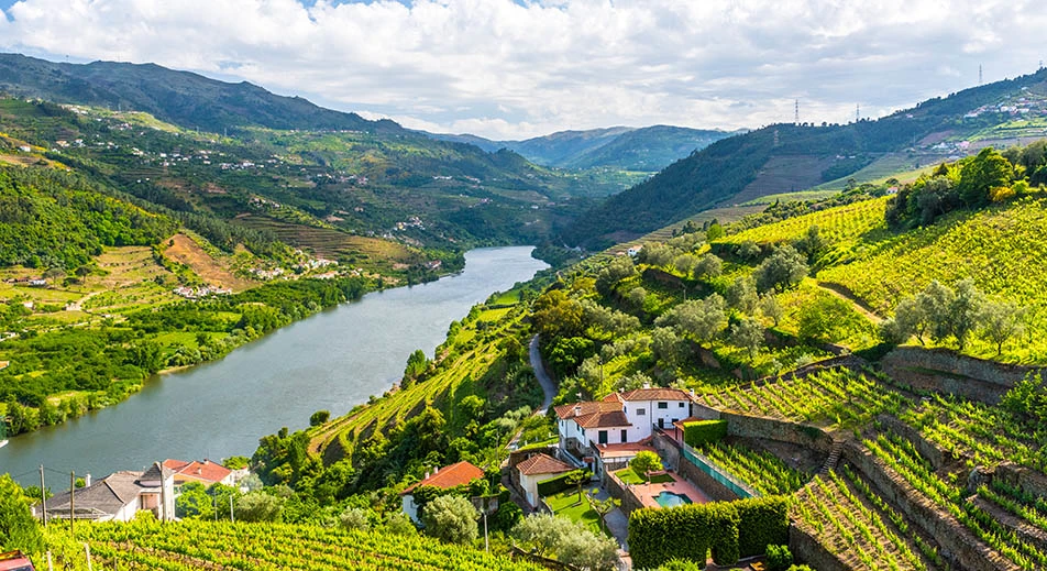 Wanderung entlang des Douro