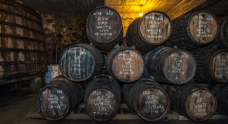 Besuch einer Bodega und Weinprobe