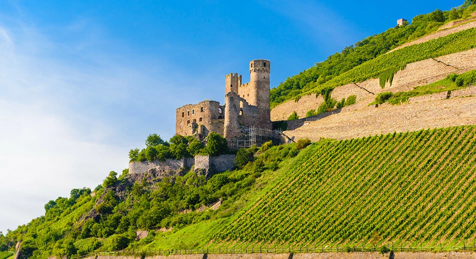Visite des ruines du château d'Ehrenfels