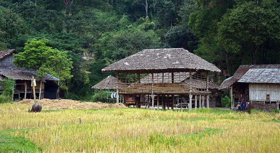 Promenade matinale au village de Ban Luang Tong