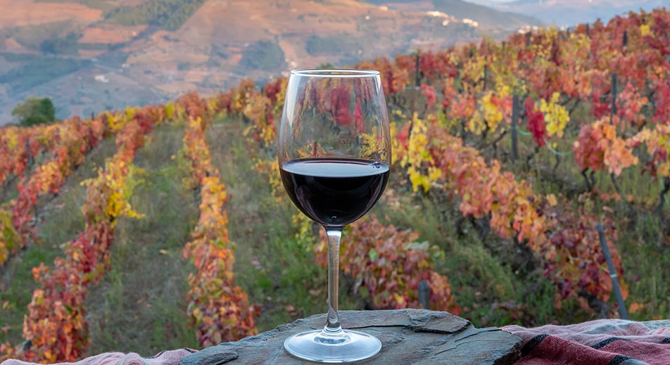 Découverte d’une quinta et dégustation de vin