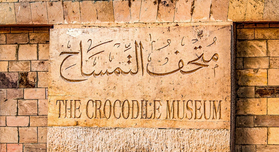 Visite du musée du crocodile