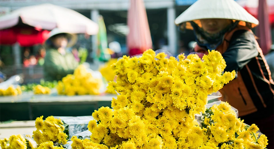 Visite du marché aux fleurs