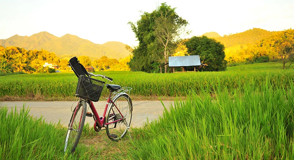 Excursion à vélo