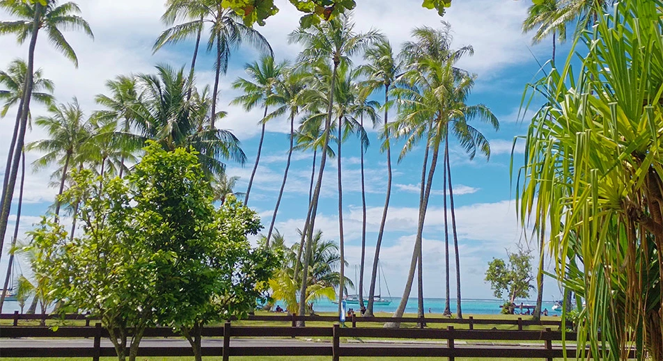 Visite guidée de Moorea
