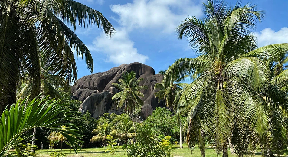 Excursion matinale guidée à La Digue