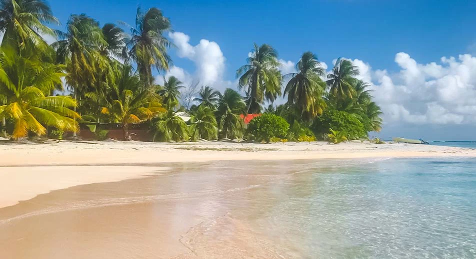 Excursion en annexe aux «motus aux sables roses »