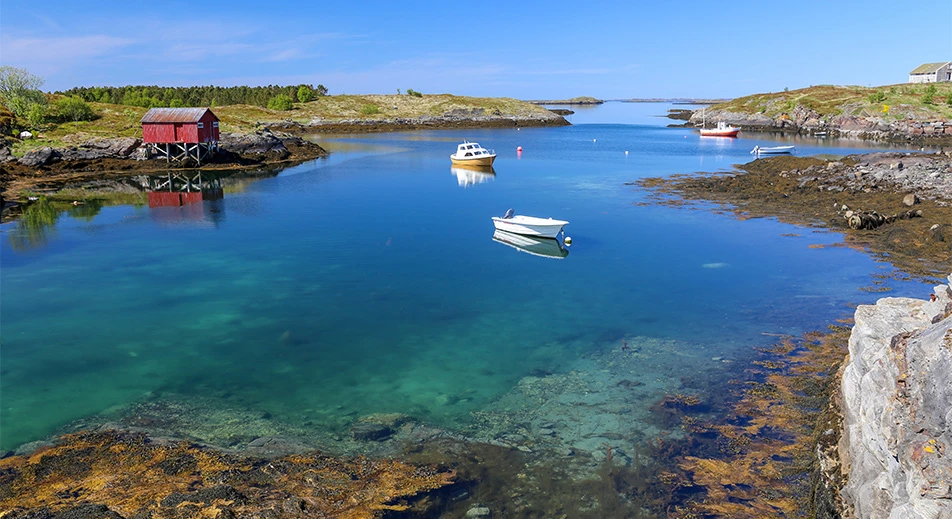Excursion aux îles de Vega