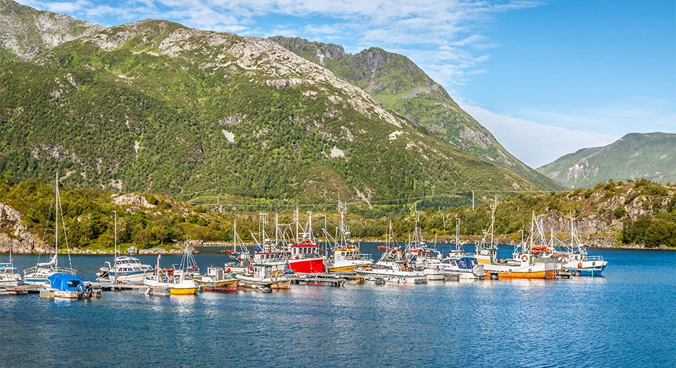Excursion à Rørvik