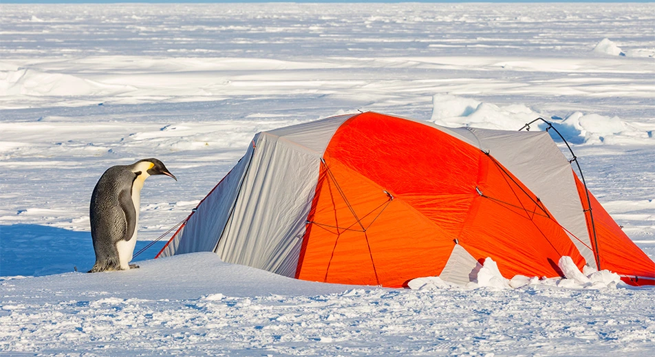 Camping