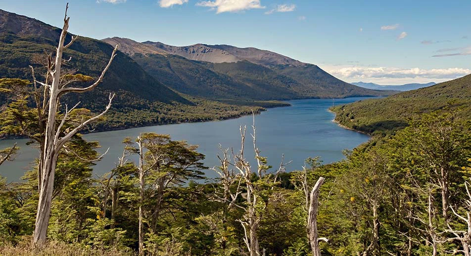 Visite express du parc national de la Terre de Feu à Ushuaïa