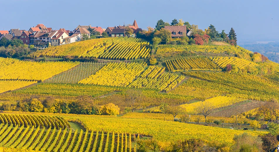 Excursion dans la région vallonnée du Kochersberg
