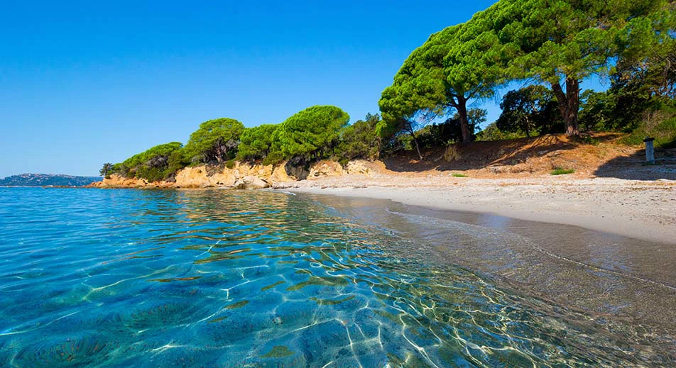 Visite à la plage de Palombaggia
