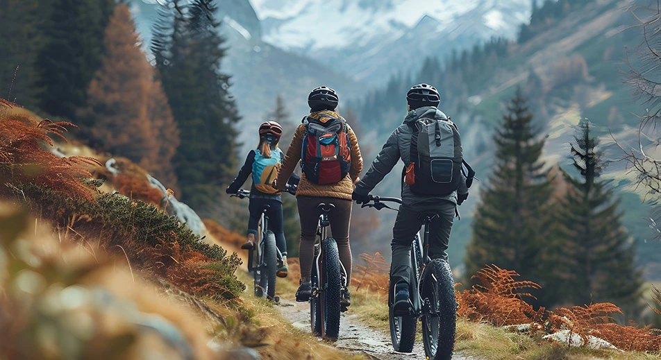 Visita guidata panoramica di Torsken in bicicletta elettrica