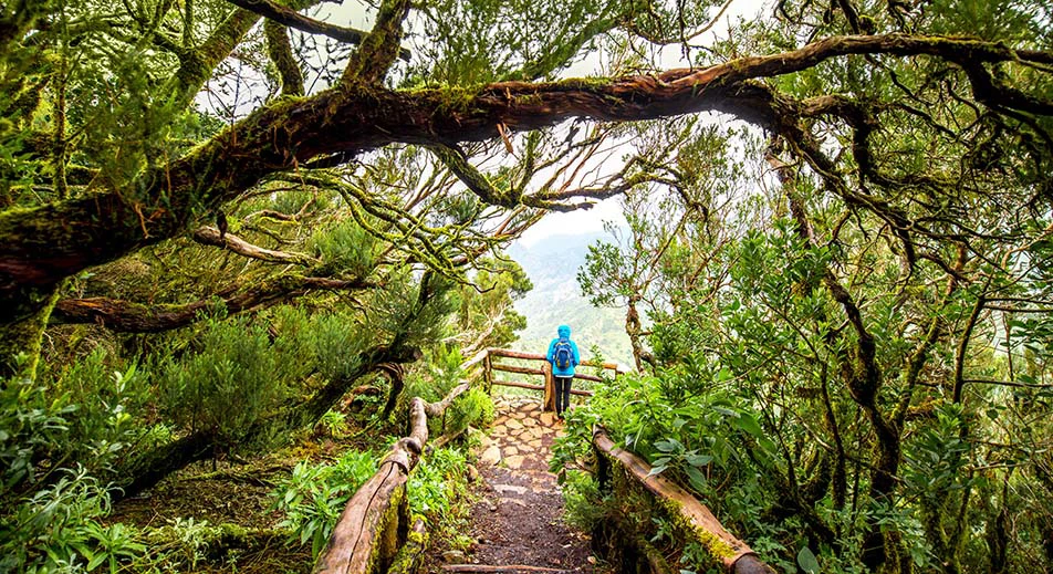 Tour de l’île de la Gomera