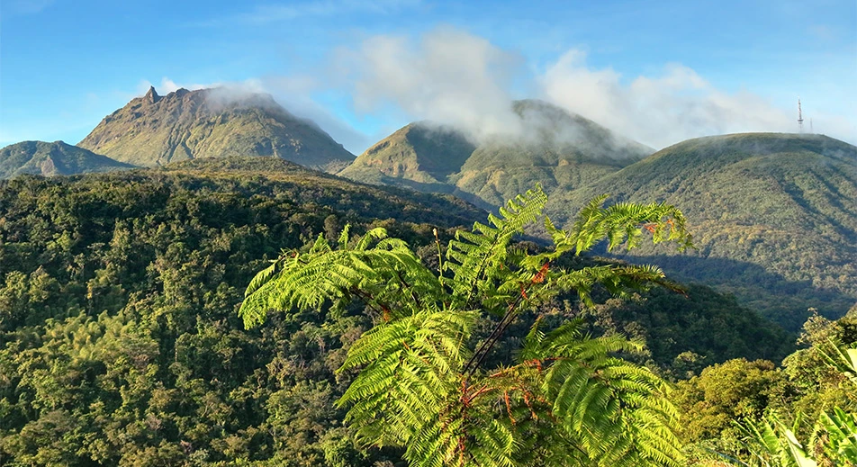 Excursion en taxi avec un guide pour découvrir la Soufrière
