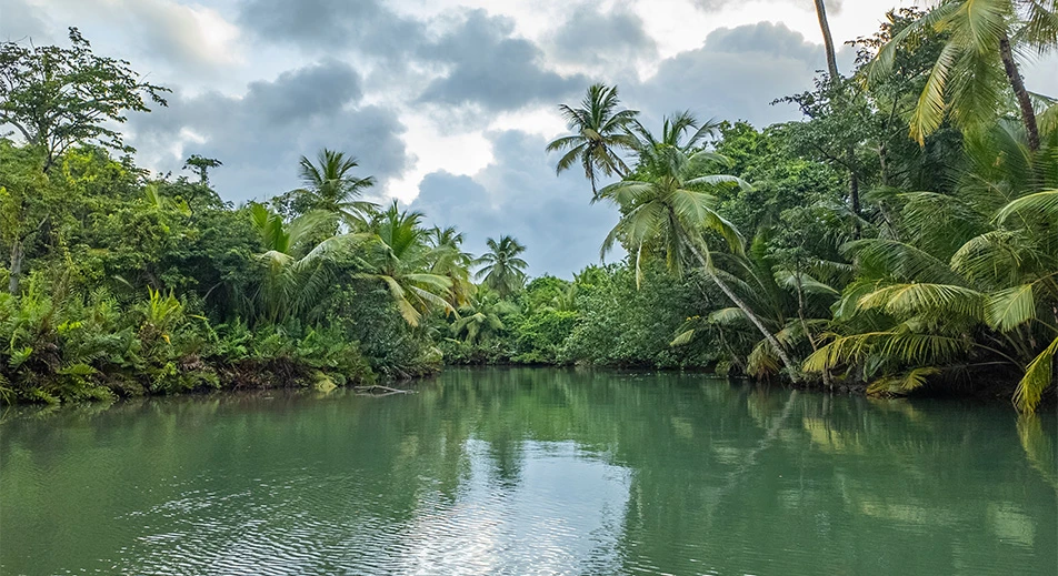 Discovering the Indian River