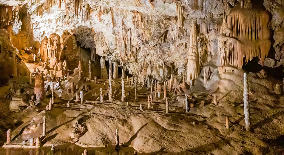 Exploration de la grotte de Postojna