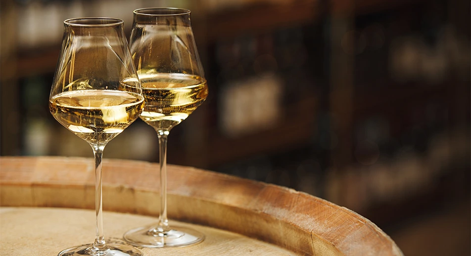 Dégustation de vins au domaine Bire, à Lumbarda