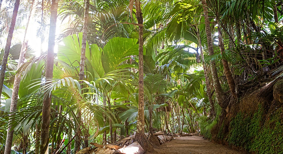 Tour de la vallée de Mai