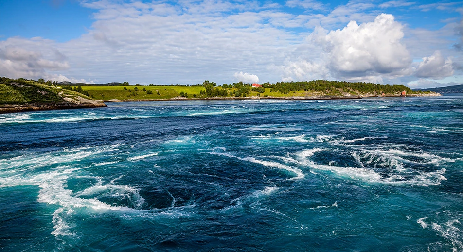 Excursion en bateau à destination du Saltstraumen