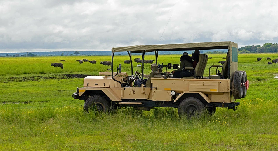 Exploration en 4x4 du parc national de Chobé