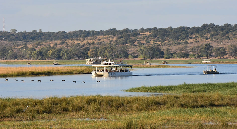 Safari nautique sur la rivière Chobé