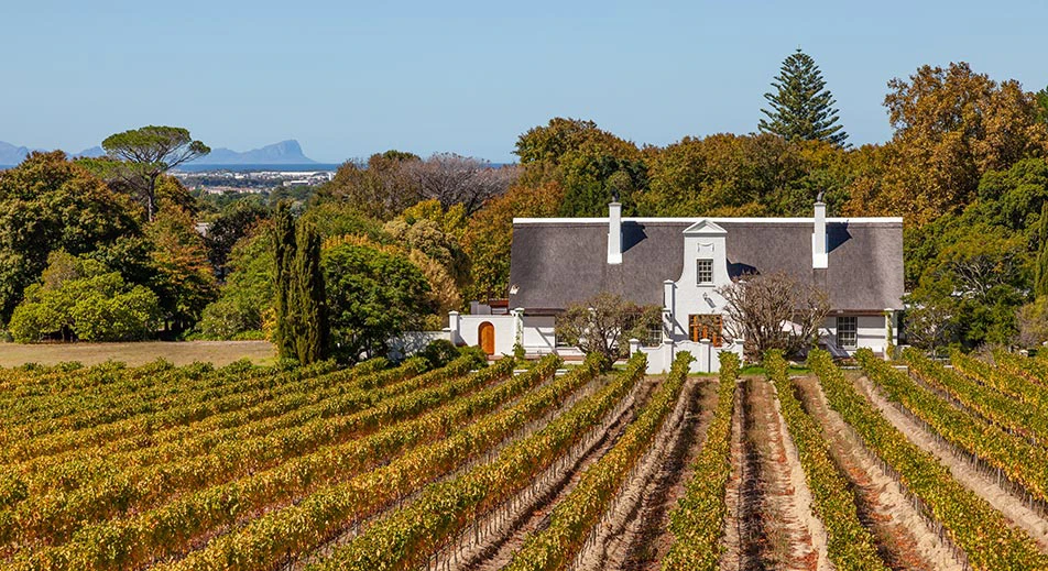 Visite du domaine viticole de Groot Constantia