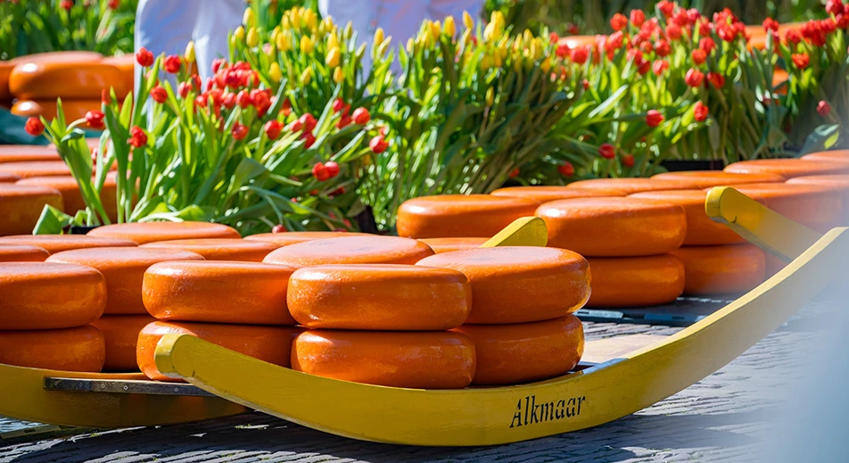 Visite d'Alkmaar et le musée des fromages