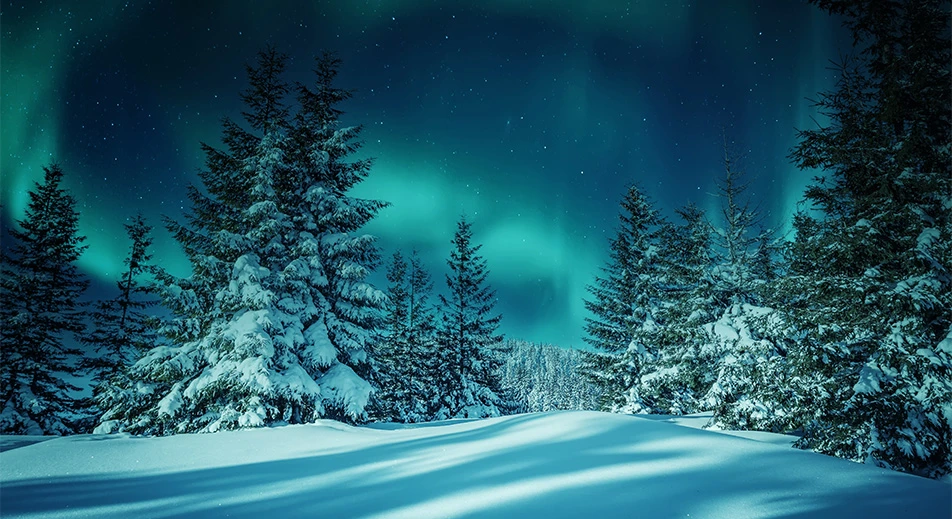 Randonnée côtière arctique - Vivez l'expérience en plein air de l'Arctique