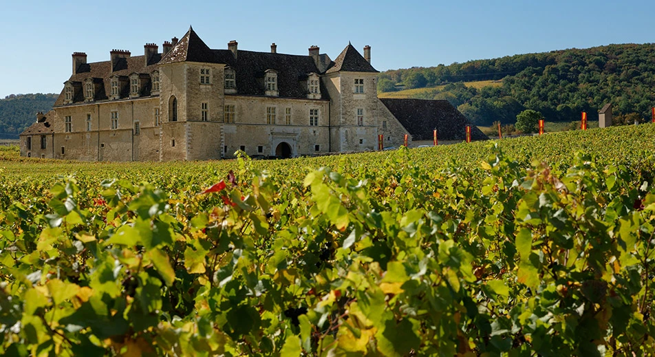 Excursion à travers le vignoble de Bourgogne