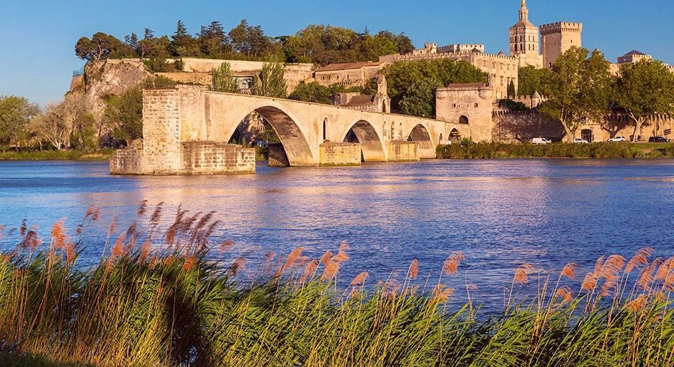 Visite guidée d'Avignon