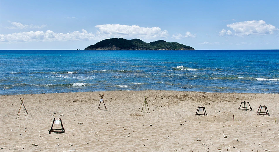 Besuch des nationalen Meeresparks von Zakynthos