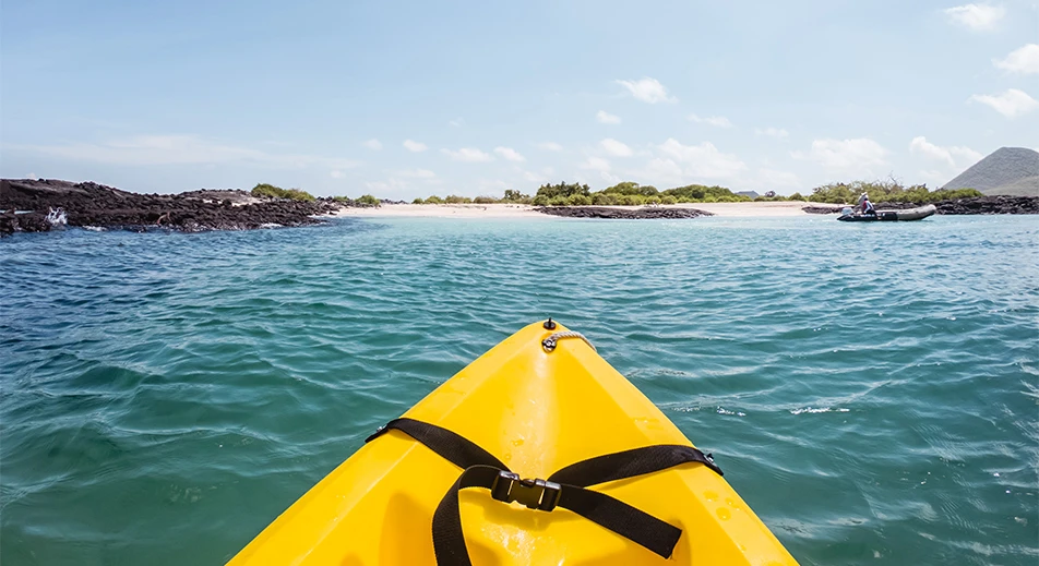Kayak